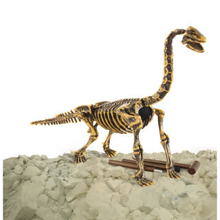 Afbeelding laden in galerijviewer, Dino base dinobase dino uitbikken brachiosaurus 3d set | 3 stuks
