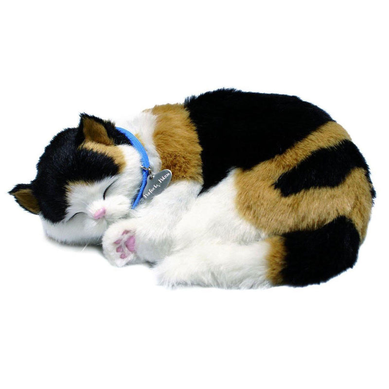 Afbeelding laden in galerijviewer, Perfect petzzz perfect petzzz soft lapjeskat
