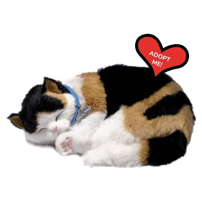 Afbeelding laden in galerijviewer, Perfect petzzz perfect petzzz soft lapjeskat

