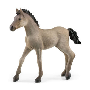 Schleich 13949 criollo definitivo veulen | 5 stuks