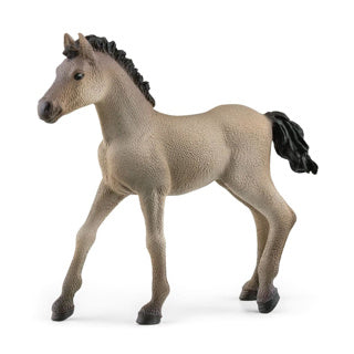 Schleich 13949 criollo definitivo veulen | 5 stuks