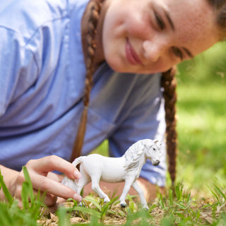 Afbeelding laden in galerijviewer, Schleich | 5 stuks
