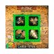Eureka houten breinpuzzels junior, 4st.