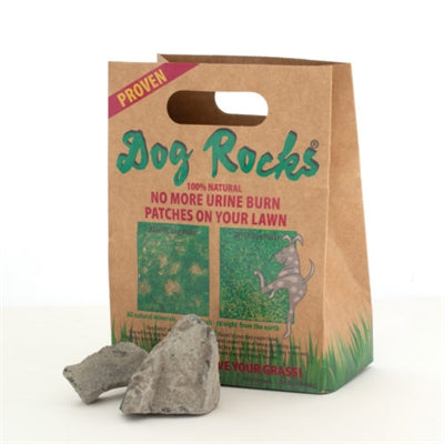 Afbeelding laden in galerijviewer, Dog rocks
