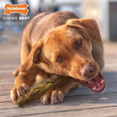 Afbeelding laden in galerijviewer, Nylabone Extreme chew braided bull stick rundsmaak
