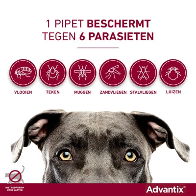 Afbeelding laden in galerijviewer, Elanco advantix spot on
