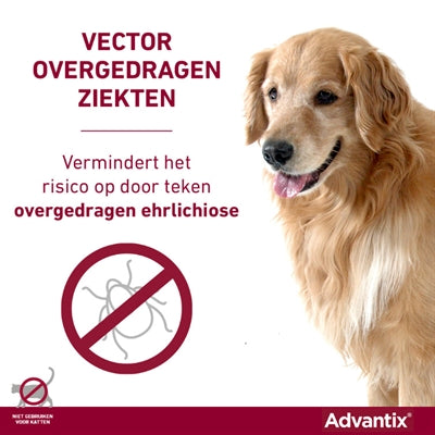 Afbeelding laden in galerijviewer, Elanco advantix spot on
