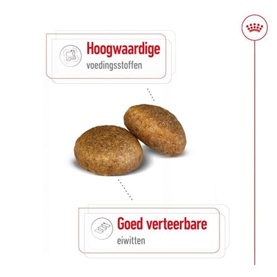 Afbeelding laden in galerijviewer, Royal canin maxi adult
