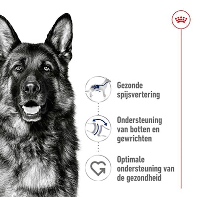 Afbeelding laden in galerijviewer, Royal canin maxi adult
