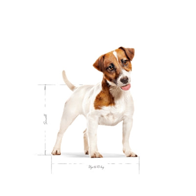 Afbeelding laden in galerijviewer, Royal canin Canin mini adult

