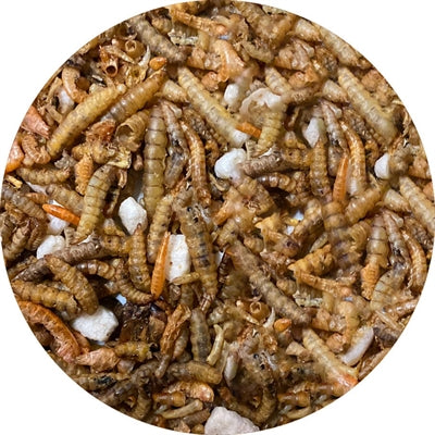 Afbeelding laden in galerijviewer, Utopia insectenmix

