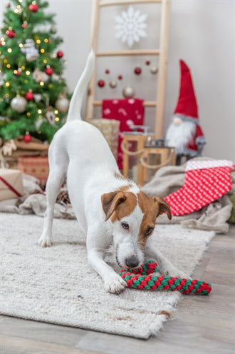 Afbeelding laden in galerijviewer, Trixie Xmas flostouw candy cane
