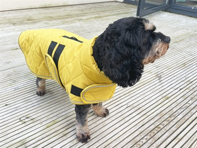 Afbeelding laden in galerijviewer, Happy pet hondenjas go walk quilted mosterd
