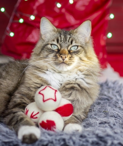 Afbeelding laden in galerijviewer, Cupid comet wollen ballen
