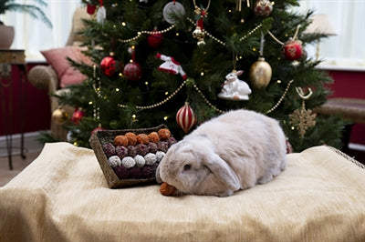 Afbeelding laden in galerijviewer, Cupid comet advent gift 'n' forage truffel schaal
