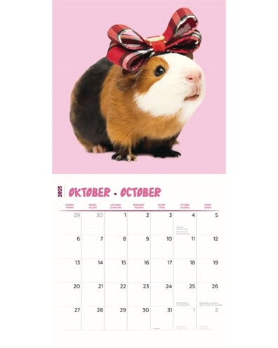 Afbeelding laden in galerijviewer, kalender cavia's studio 2025
