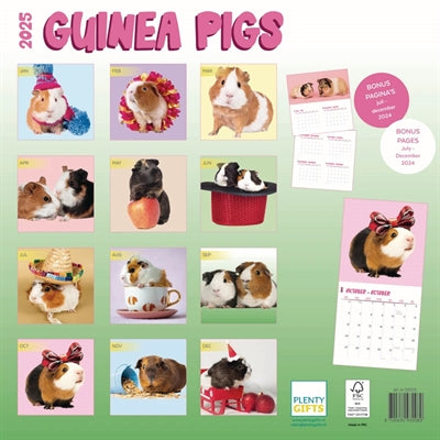 Afbeelding laden in galerijviewer, kalender cavia's studio 2025
