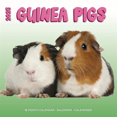 Afbeelding laden in galerijviewer, kalender cavia's studio 2025
