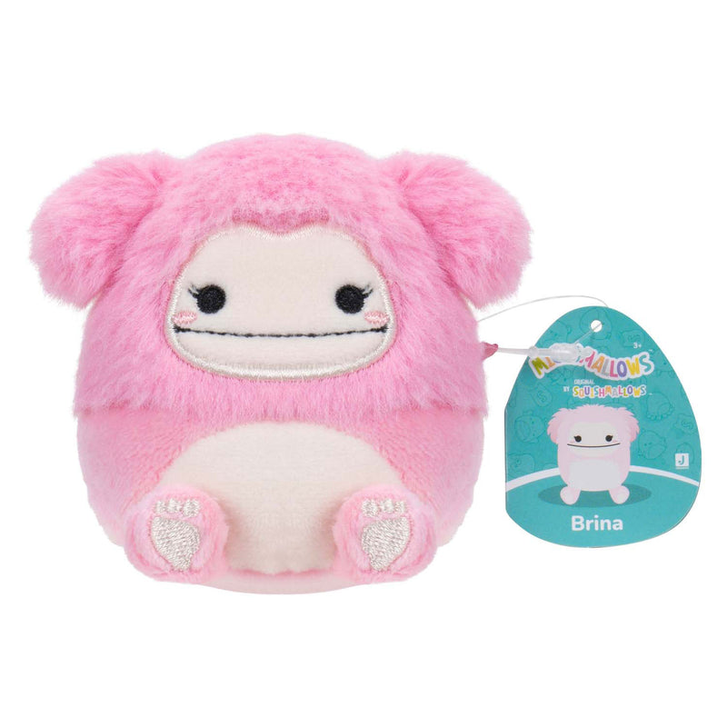 Afbeelding laden in galerijviewer, Squishmallows knuffel pluche - micromallows chanel, brina, lucia, tenise, 4-pack

