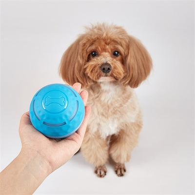 Afbeelding laden in galerijviewer, Fofos rol bal oplaadbaar voor honden
