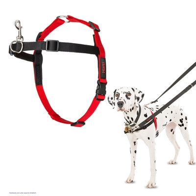 Afbeelding laden in galerijviewer, Halti harness front control zwart

