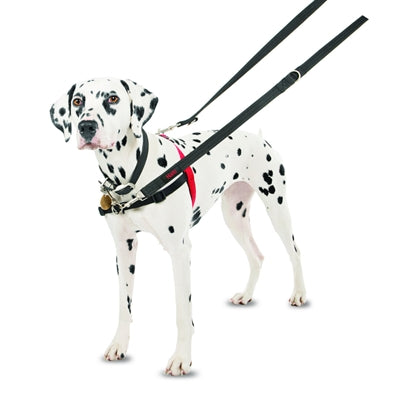 Afbeelding laden in galerijviewer, Halti harness front control zwart
