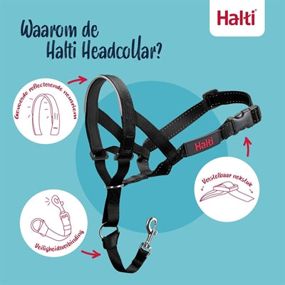 Afbeelding laden in galerijviewer, The company of animals company of animals halti headcollar zwart
