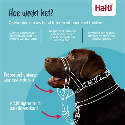 Afbeelding laden in galerijviewer, The company of animals company of animals halti headcollar zwart
