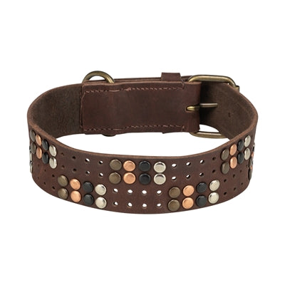 Afbeelding laden in galerijviewer, Trixie halsband hond rivet rustic vetleer donkerbruin
