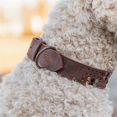 Afbeelding laden in galerijviewer, Trixie halsband hond rivet rustic vetleer donkerbruin
