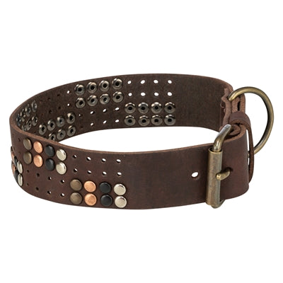 Afbeelding laden in galerijviewer, Trixie halsband hond rivet rustic vetleer donkerbruin
