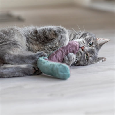 Afbeelding laden in galerijviewer, Trixie speelkussen rol met catnip assorti
