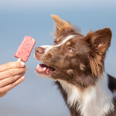 Afbeelding laden in galerijviewer, Trixie ice pop rood
