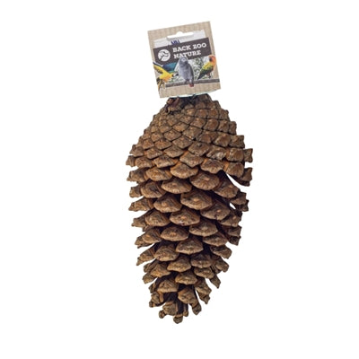 Afbeelding laden in galerijviewer, Back zoo nature foraging pine cone
