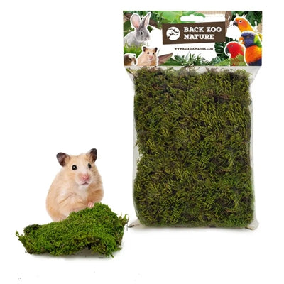 Afbeelding laden in galerijviewer, Back zoo nature forest moss
