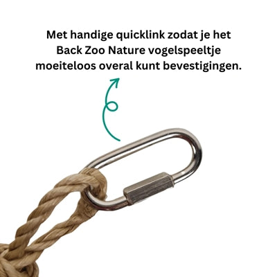 Afbeelding laden in galerijviewer, Back zoo nature ball and shells
