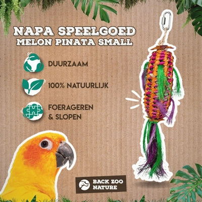 Afbeelding laden in galerijviewer, Back zoo nature melon pinata

