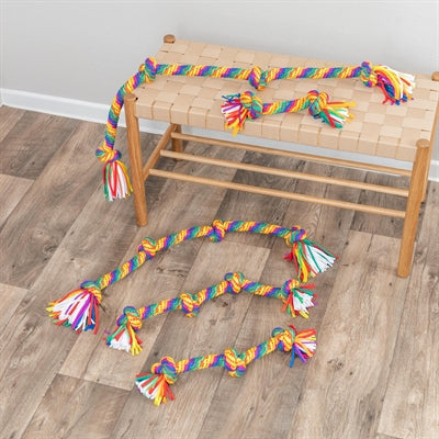 Afbeelding laden in galerijviewer, Trixie flostouw regenboog
