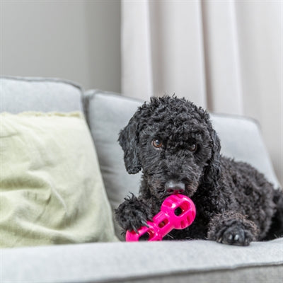 Trixie dumbell soft strong tpr roze