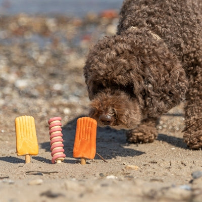 Trixie ice pop geel