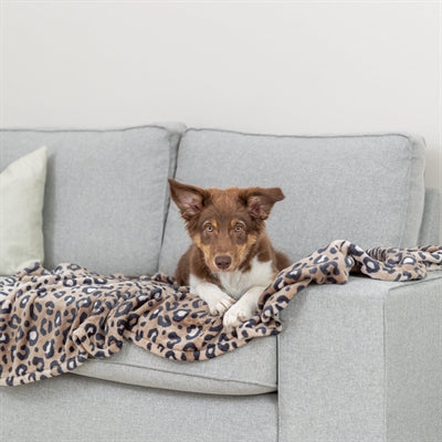 Afbeelding laden in galerijviewer, Trixie hondendeken leo softpluche panterprint bruin
