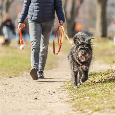 Trixie sleeplijn met rubber bekleed zonder handlus oranje