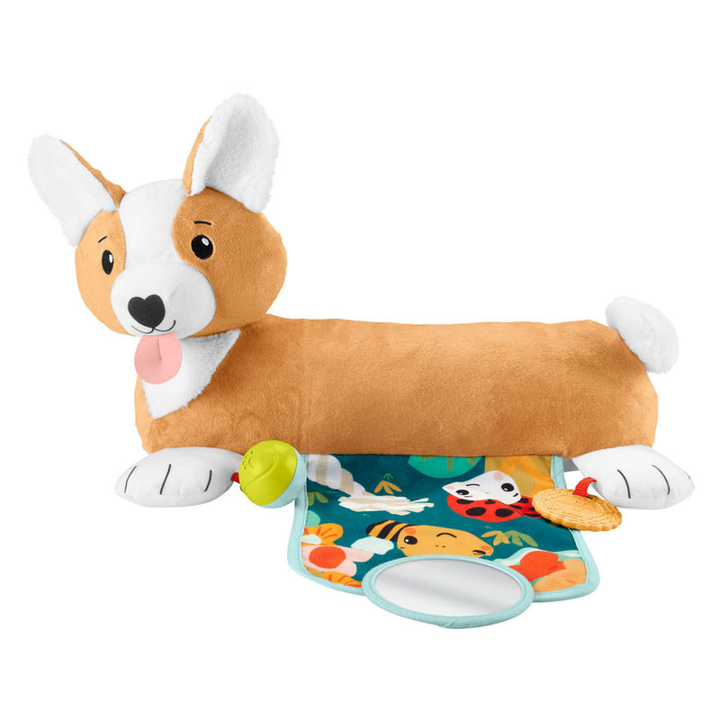 Afbeelding laden in galerijviewer, Fisher Price 3in1 Puppy Buikligtrainer
