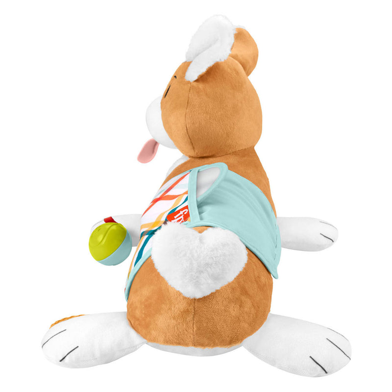 Afbeelding laden in galerijviewer, Fisher Price 3in1 Puppy Buikligtrainer
