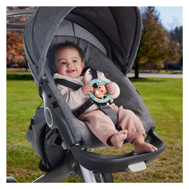 Afbeelding laden in galerijviewer, Fisher price bijt rammelaar axeloth
