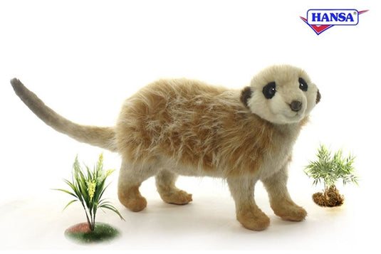 Meerkat staand 32 cm