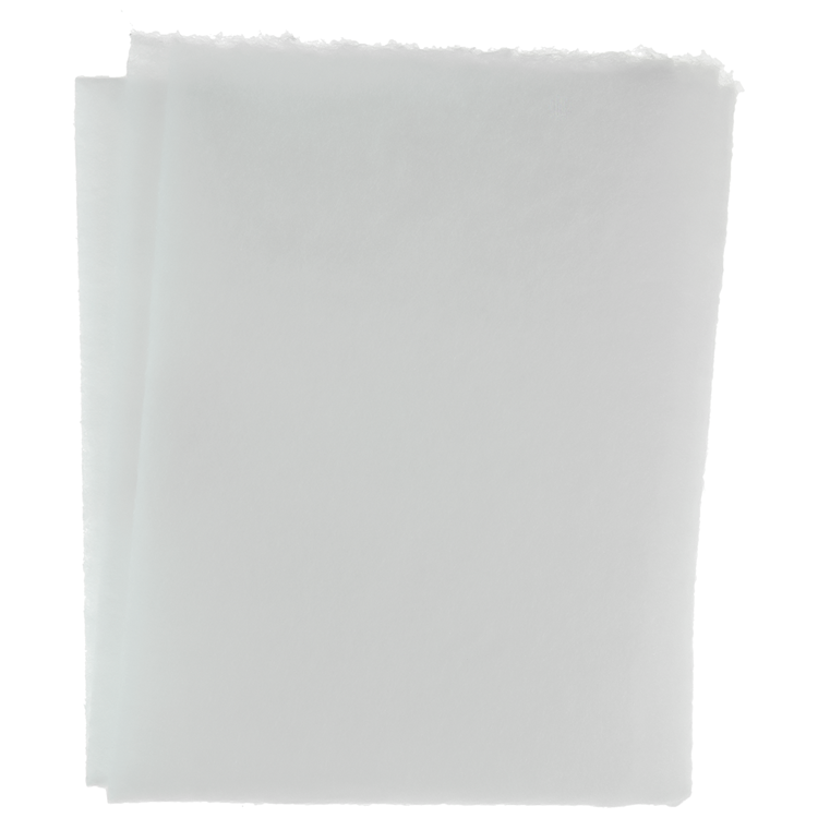 Afbeelding laden in galerijviewer, 1061074 - dampkapfilter 2st 47x57cm | 10 stuks

