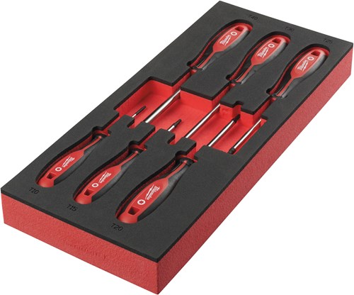 Afbeelding laden in galerijviewer, Milwaukee accessoires foam inlay schroevendraaier tx set 2 (6 delig) - 4932492392
