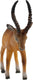 Bullyland 63693 – speelfiguur impala antilope – ca. 8,5cm – levensecht en detailrijk vormgegeven – ideaal als educatief speelfiguur, decoratie of klein cadeautje voor kinderen vanaf 3 jaar