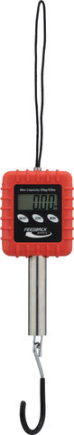 Feedback sports alpine digital scale